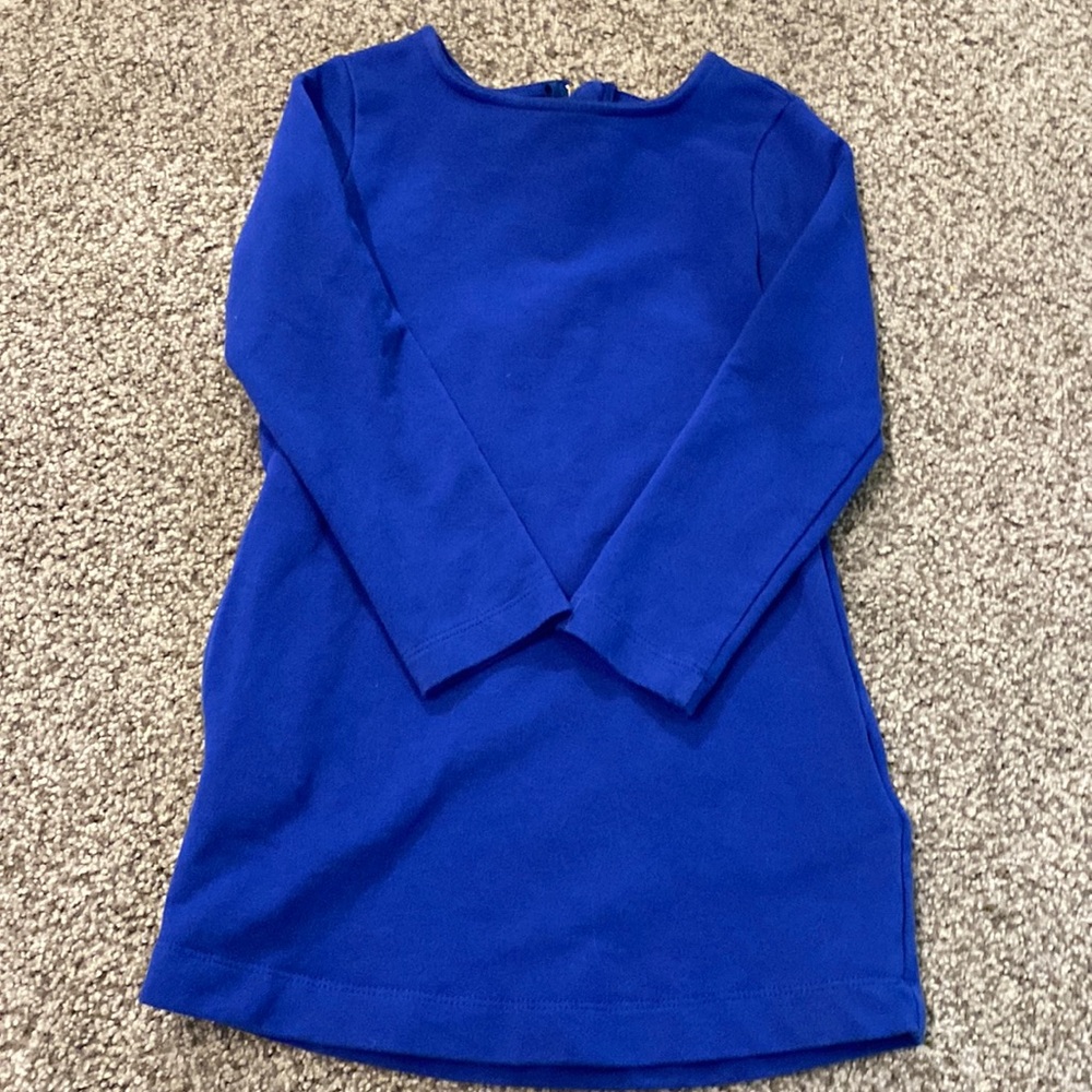 Primary sweatshirt dress